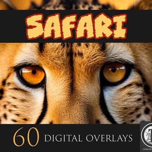 Safari Digital Overlays,  Lion clipart,Elephant PNG Overlays,Animal Overlays,Photoshop overlays,hippo overlays.