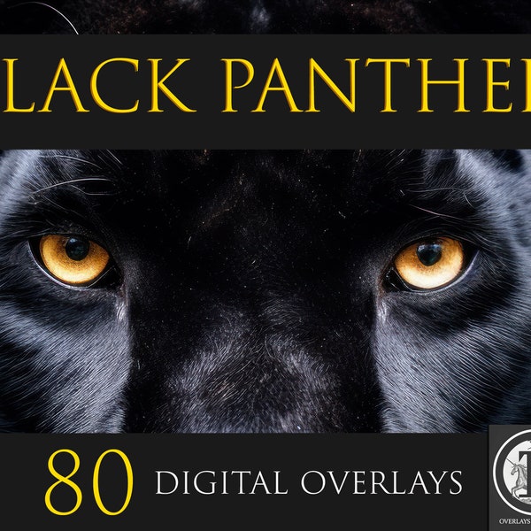 Black Panther Digital Overlays,Panther clipart,PNG Overlays,Animal Overlays,Photoshop overlays,