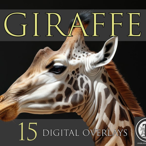 Giraffe Digital Overlays, PNG Overlays, Animal clipart, Animal overlays, Photoshop overlays,