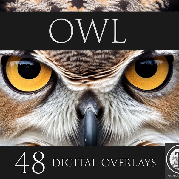 Owl Digital Overlays,Owl PNG Overlays, Animal clipart, Animal overlays, Photoshop overlays,