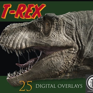 T-rex Digital Overlays,Tyrannosaurus clipart,PNG Overlays,Dinosaur Overlays,Photoshop overlays,