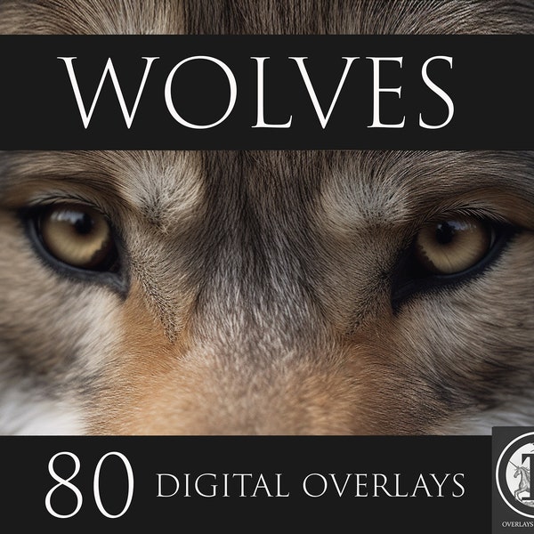 Wolves Digital Overlays, PNG Overlays, Animal clipart, Animal overlays, Photoshop overlays,