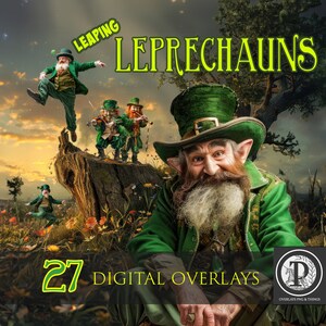 May include: A digital download of 27 images featuring illustrations of leprechauns in various poses. The images are perfect for adding a touch of Irish charm to your digital projects.
