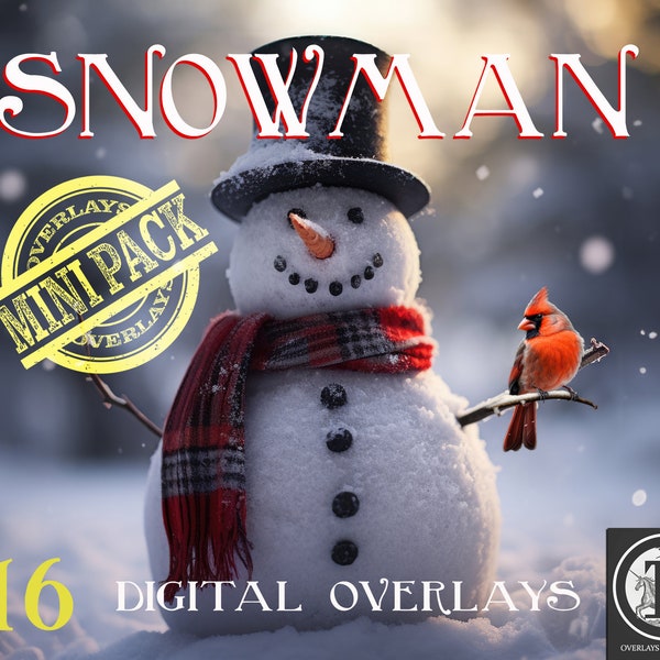 Snowman Digital Overlay Pack / Snowman PNG / Christmas Clipart / Holiday art / Artist tools / Photoshop Seasonal images /