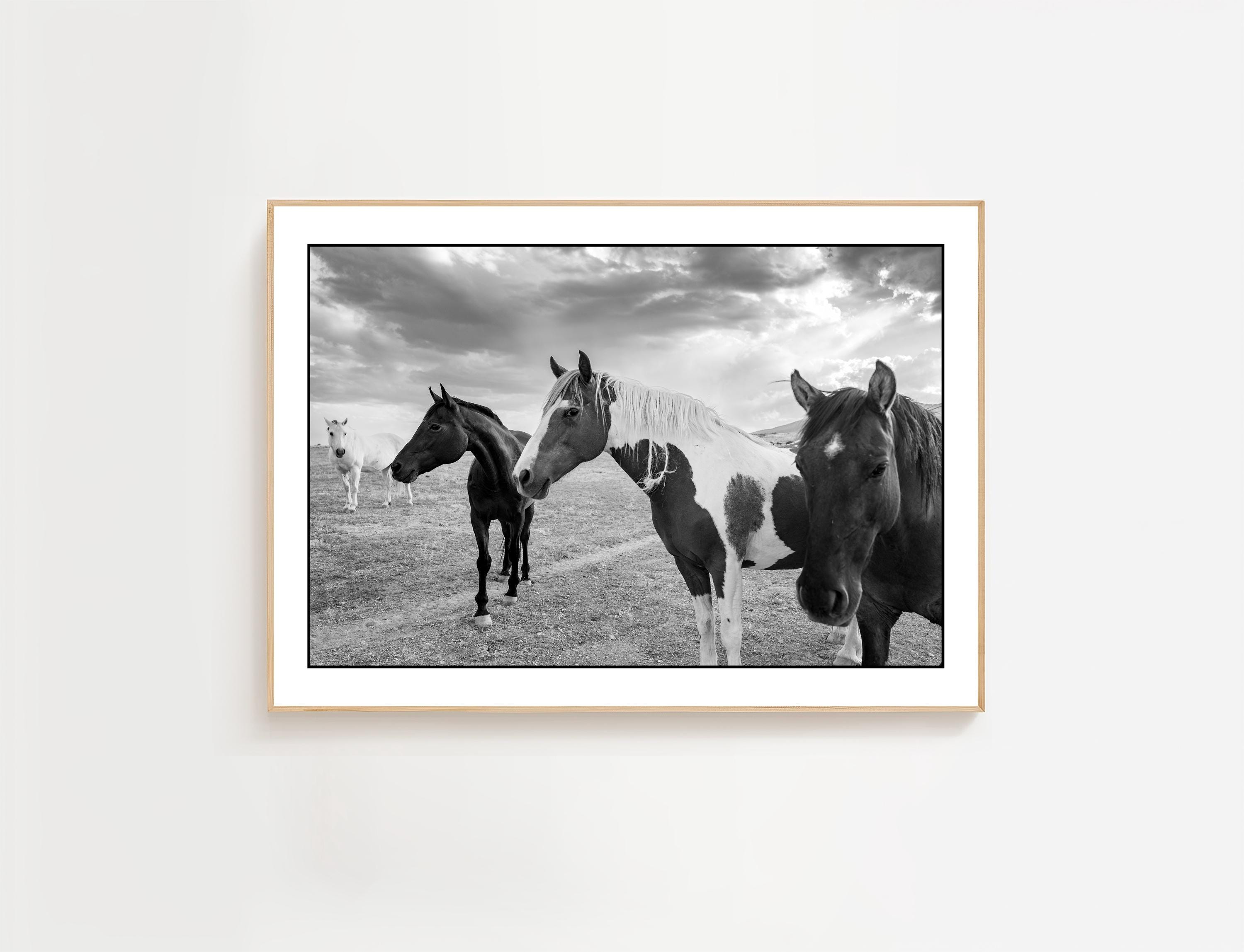 Desert Horses Photo Print Black and White Equestrian Western Wall Art ...