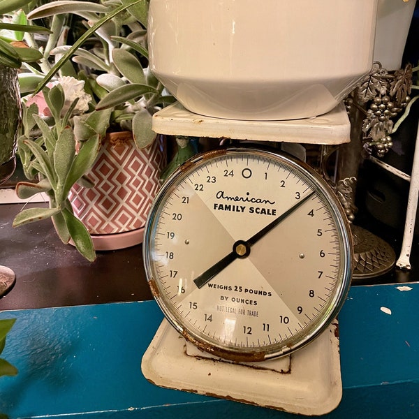 Kitchen Scale American Family Vintage Scale 1940s Enamel Scale 25 lb Boho Decor