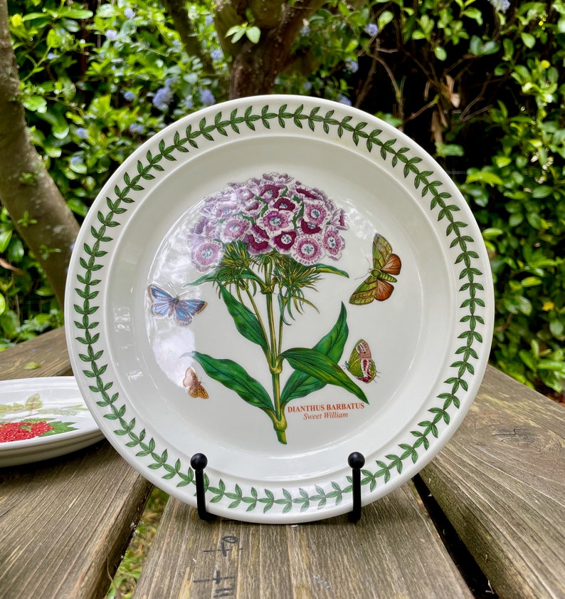 Portmeirion Botanic Garden Dinner Plates and Lunch Plates Mix and Match ...