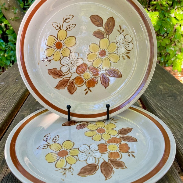 Set of 2 Stoneware Dinner Plates Autumn Collection 'Wild Wood' pattern Vintage 1970s mismatched stoneware