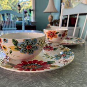 Pier 1 &#39;Lucie&#39; includes 2 dinner plates and 2 soup salad cereal bowls