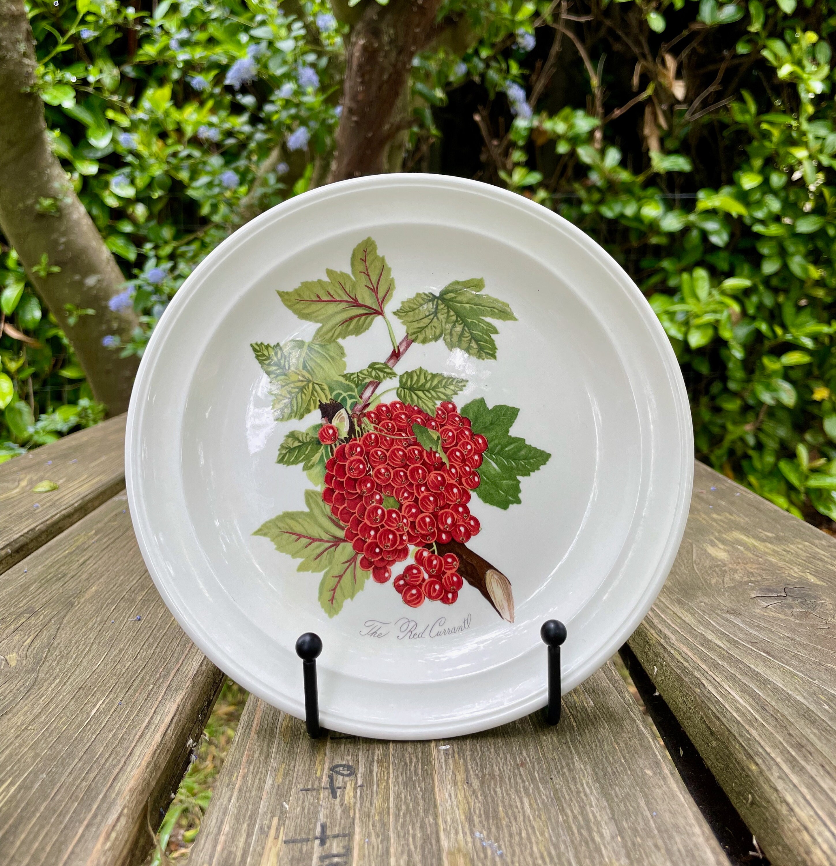 Portmeirion Botanic Garden Dinner Plates and Lunch Plates Mix and Match ...