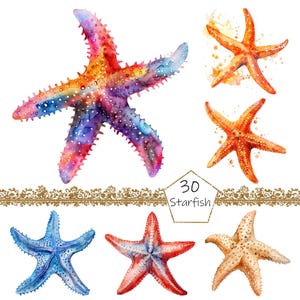 Watercolor Starfish Clipart, 30 PNG Starfish clip art, Commercial Use, Starfish Clipart png Bundle, Sea shell clipart, digital download