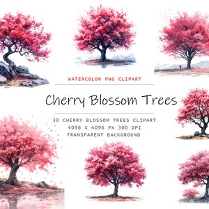 Aquarell Sakura Bäume Clipart, 30 Kirschblüte PNG, kommerzielle Nutzung, Kirschblüte Clipart Bundle, digitale Kirschblüte Kunst