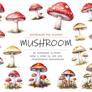Clipart champignons aquarelle - mignon forêt nature champignon vénéneux clip art format PNG téléchargement immédiat pour un usage commercial, clipart forêt