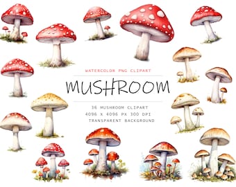 Watercolor Mushrooms Clipart - cute forest nature toadstool clip art PNG format instant download for commercial use, Forest Clipart