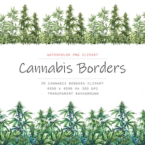 May include: Watercolour clipart of 30 cannabis plant borders, each measuring 4096 x 4096 pixels at 300 DPI. The borders feature green cannabis plants with leaves and buds, set against a transparent background.