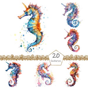 Watercolor Seahorse Clipart, 20 PNG Seahorse clip art, Commercial Use, Sea horse Clipart png Bundle, Sea shell clipart, digital download