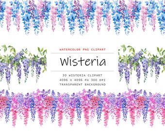 Watercolor Wisteria Borders Clipart, 30 PNG Wisteria Flowers Borders clip art, Wisteria Clipart png Bundle, Wisteria Digital Download