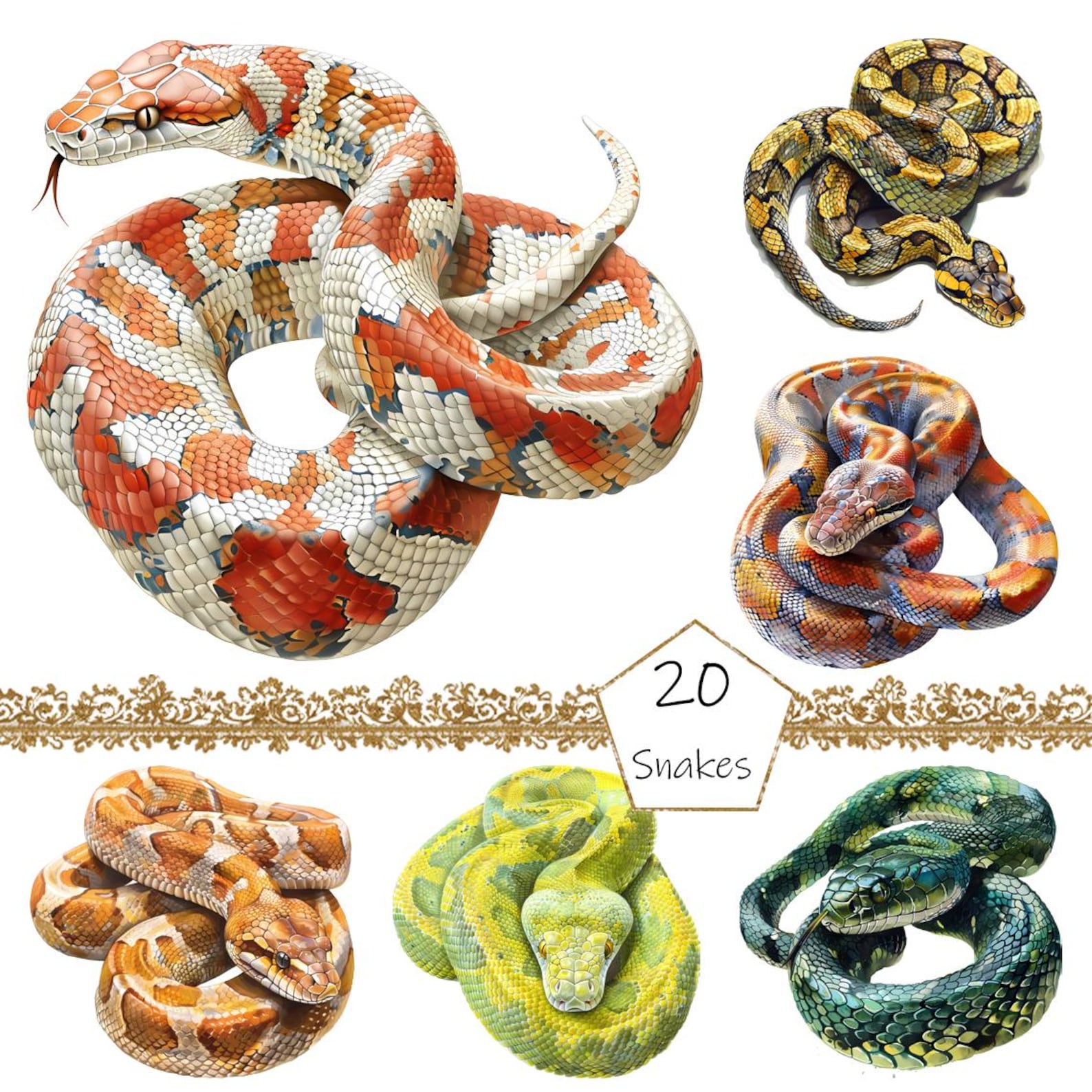 Watercolor Snakes Clipart, 20 PNG Snakes Clip Art, Snakes Clipart ...