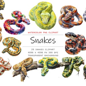 Aquarell Schlangen Clipart, 20 PNG Schlangen Clip Art, Schlangen Clipart, Schlangen Clipart PNG Bundle, Schlangen Clipart, Reptilien Clipart, digitale Datei