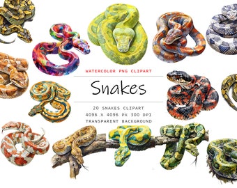 Watercolor Snakes Clipart, 20 PNG Snakes clip art, Snakes clipart, Snakes Clipart png Bundle, Snakes clipart, Reptile clipart, Digital file