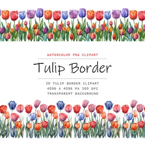 Watercolor Tulip Borders Clipart, 30 PNG Tulip Borders clip art, Tulip Clipart png Bundle, Digital Tulip, Digital Download, Tulip Clipart