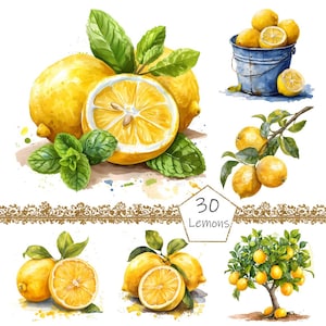 Watercolor Lemons Clipart PNG, Watercolor Sublimation Lemons Clipart, Lemons Bundle Illustrations, Commercial License, Cute Lemonade Graphic