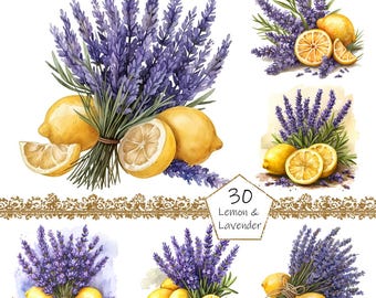 Watercolor Lemons and lavender clipart, 30 high quality PNG files, fruits and flowers, yellow and purple, printable graphics, Floral Clipart