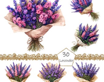 Akvarell lavendel clipart, 30 högkvalitativa JPEG- och PNG-filer, lavendelindekor, sublimering lavendel clipart, lavendel bunt illustrationer