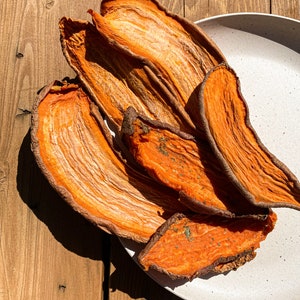 Sweet potato dog chew | Vancouver made | gently dehydrated | one ingredient | LIXS