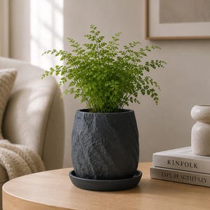 Stone Textured Indoor Planter, Modern Plant Pot with Drainage Option