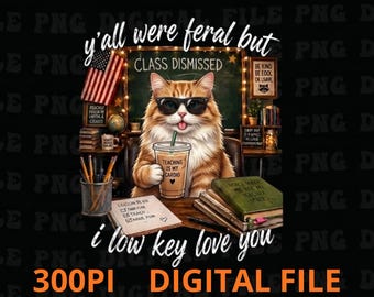 Y’all Were Feral But I Low Key Love You Png, Funny Teacher Student Humor Gift, Classroom Chaos Appreciation Graphic Png