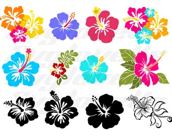May include: A set of ten colorful hibiscus flower illustrations. The flowers are in various colors, including red, pink, blue, yellow, and orange. The flowers are all in a simple, stylized design.