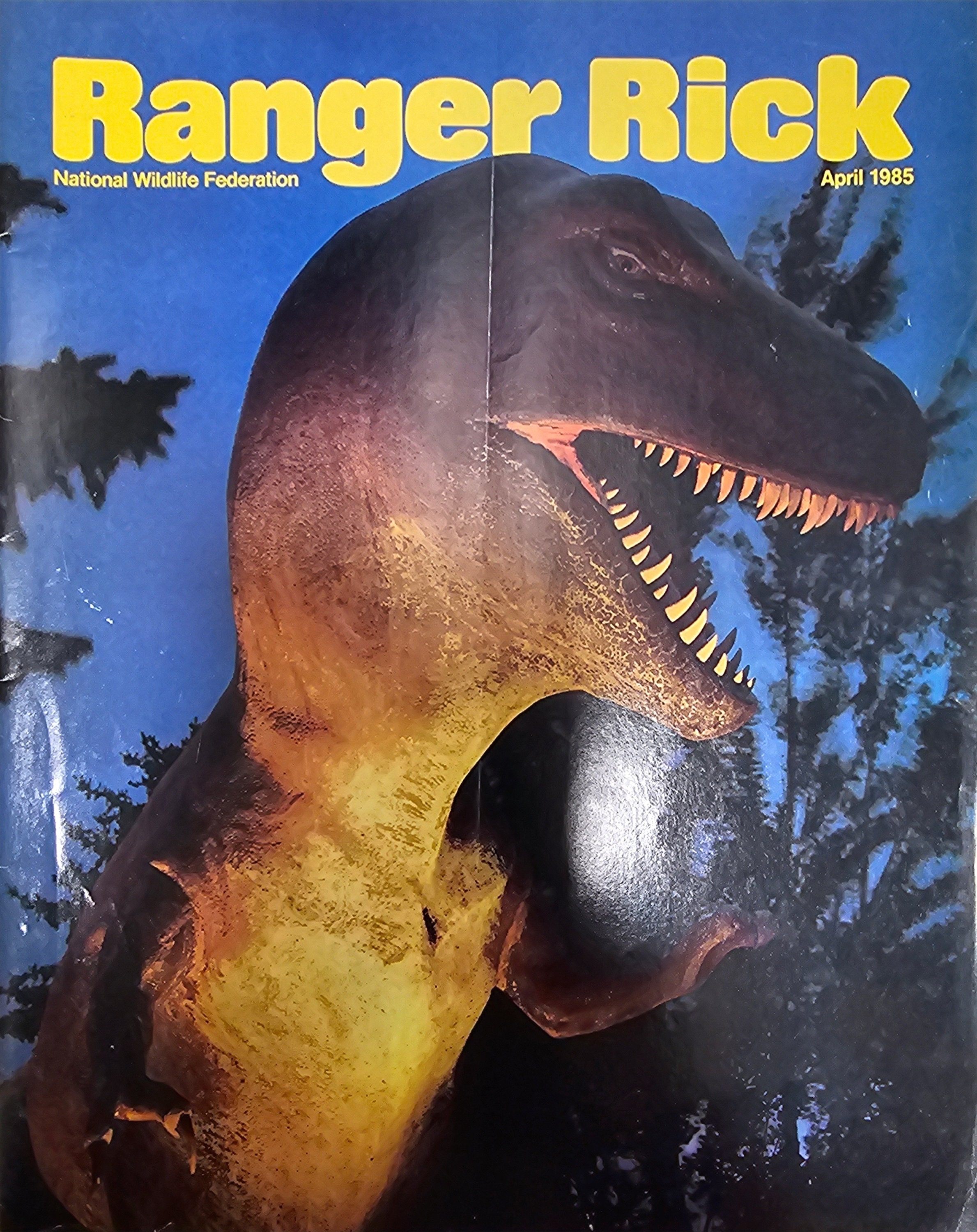 Ricky Ranger Vintage 1980's RANGER RICK National Wildlife Foundation Magazines - Etsy