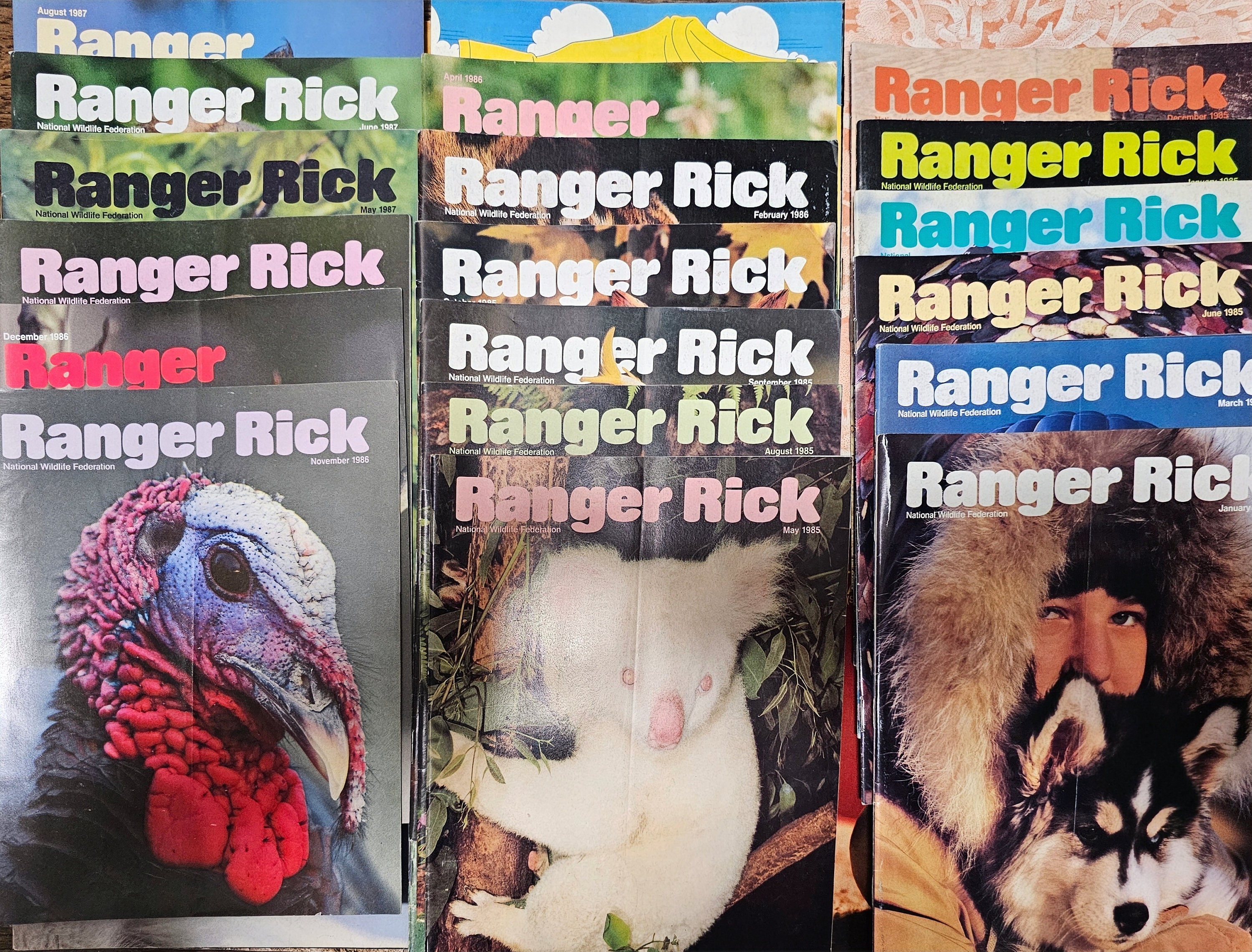 Ricky Ranger Vintage 1980's RANGER RICK National Wildlife Foundation Magazines - Etsy