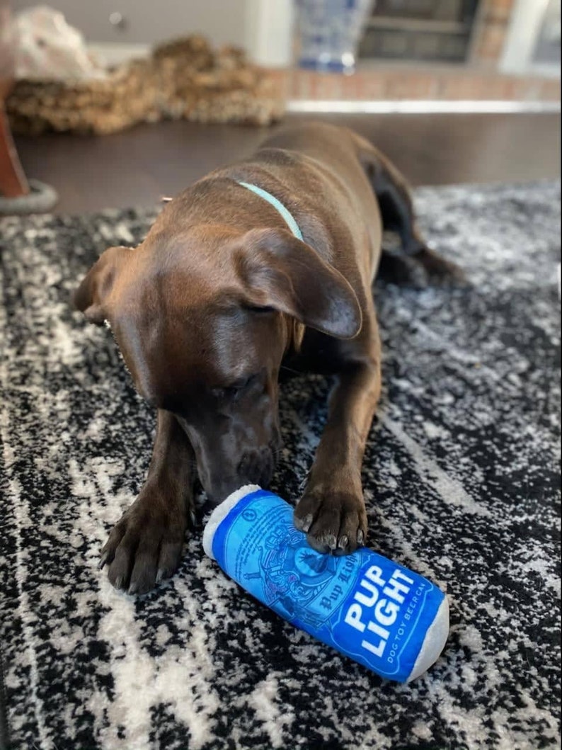 May include: A brown dog with a blue collar is playing with a blue and white plush dog toy shaped like a can of beer. The toy says "Pup Light Dog Toy Beer Can".