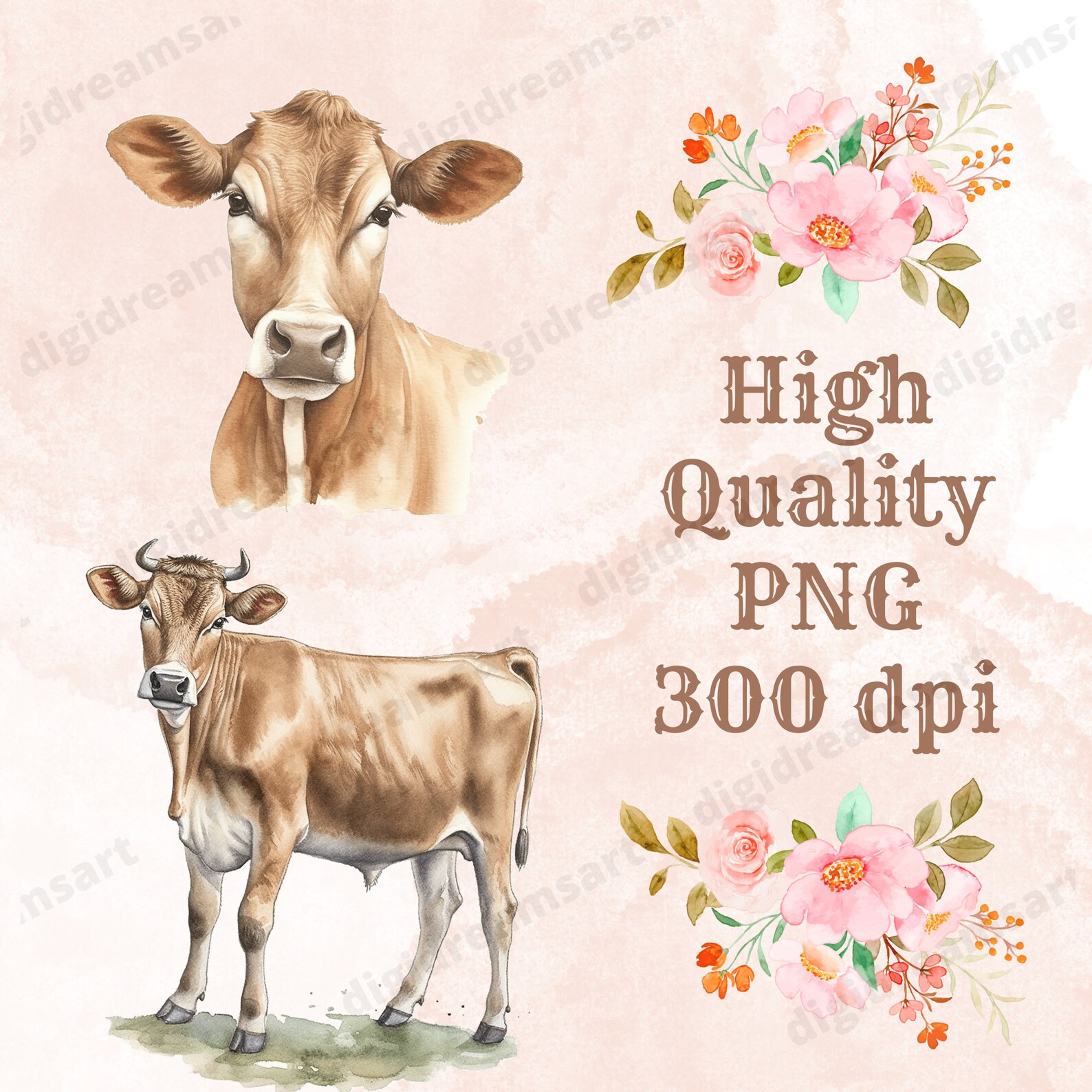 Brown Swiss Cow Clipart Bundle Transparent PNG Collection - Etsy