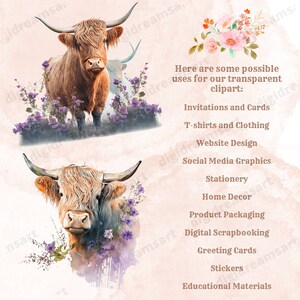 Highland Cow Design Bundle - PNG Transparent Clipart Collection ...