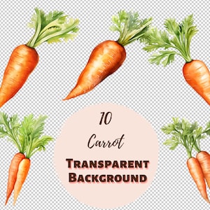 Carrot Clipart Bundle - Transparent PNG Collection, Watercolor Graphics, Digital Prints, Transfers for T-Shirts and DIY Projects