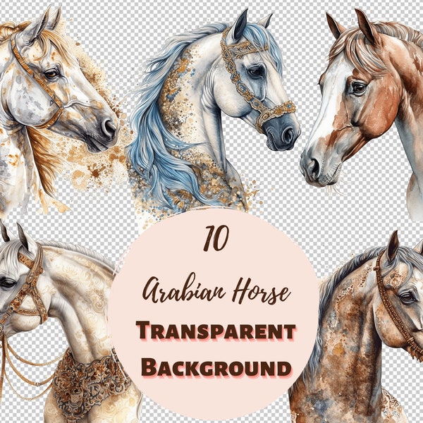 Arabian Horse - Transparent PNG Collection, Watercolor Graphics, Nursery Wall Art, Baby Shower Decor and more