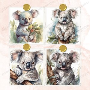 Koala Design Bundle: Cute Clipart, Digital Prints, and T-shirt ...