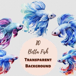 Betta Fish Clipart Bundle - Collection PNG transparente, graphiques aquarelles, impressions numériques, transferts pour T-shirts et bricolage