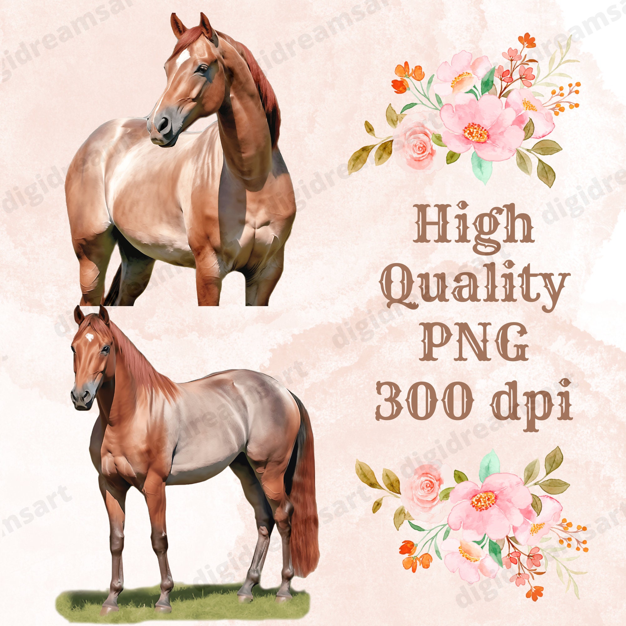 Red Roan Quarter Horse Clipart Bundle Transparent PNG Collection