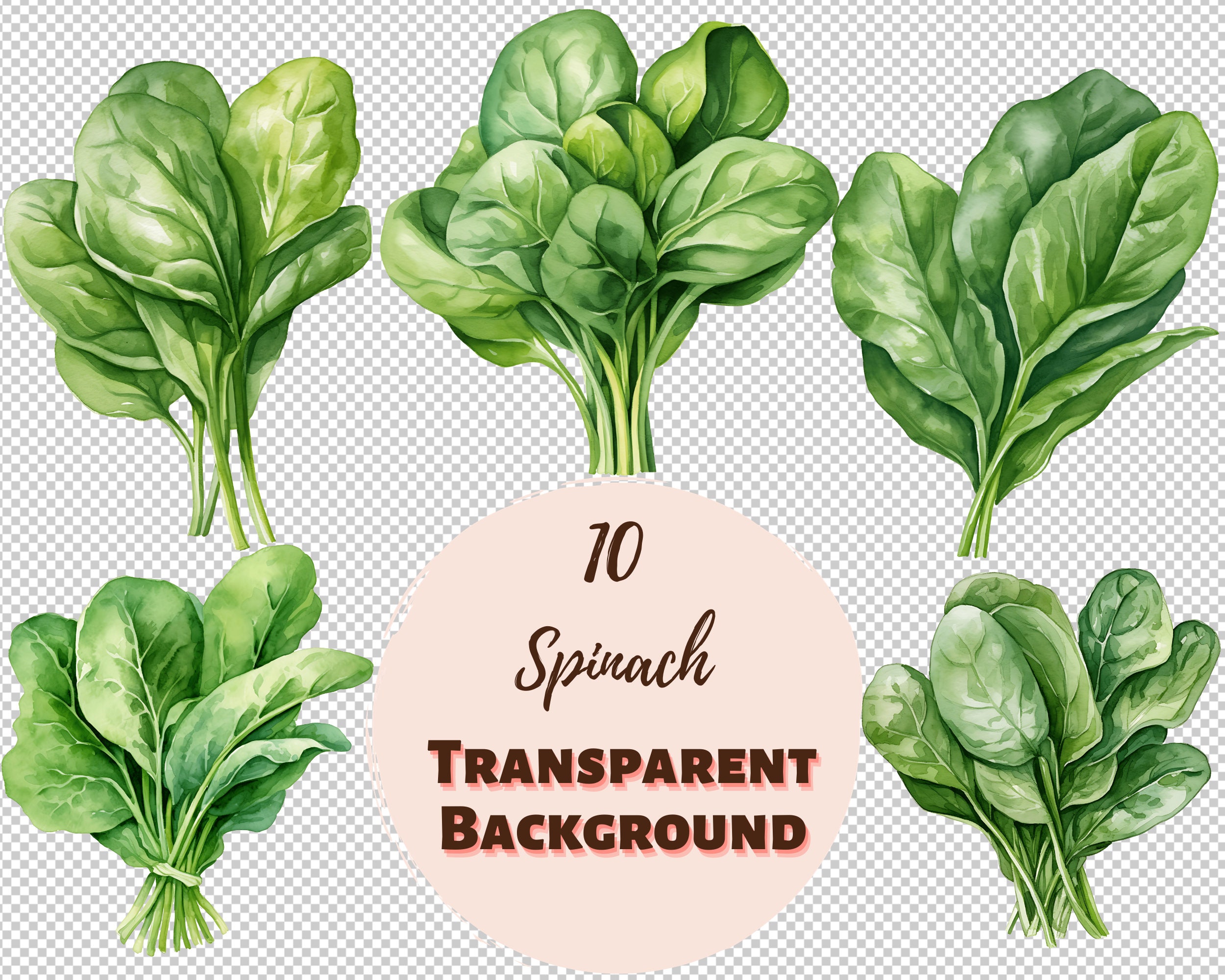 Espinacas png - Etsy México, image size:2500x2000