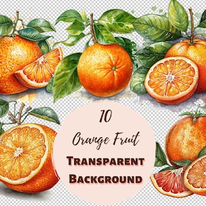 Orange Fruit Design Bundle - PNG Transparent Clipart Collection, Watercolor Graphics, Nursery Wall Art, Baby Shower Decor and more