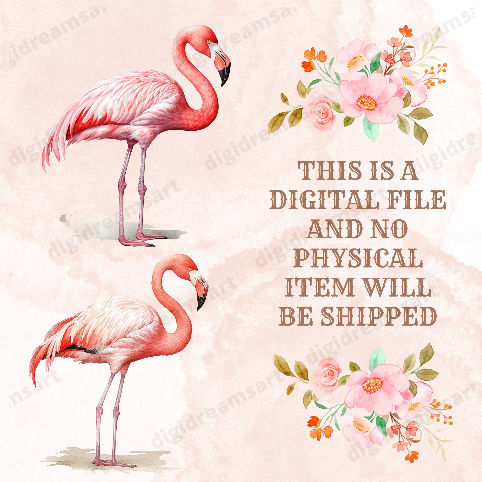 Flamingo Clipart Bundle Transparent PNG Collection - Etsy