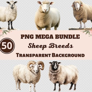 羊の品種メガバンドル 50 PNG クリップアート画像 - 透明な PNG コレクション、水彩画、保育園の壁アート、ベビーシャワーなど