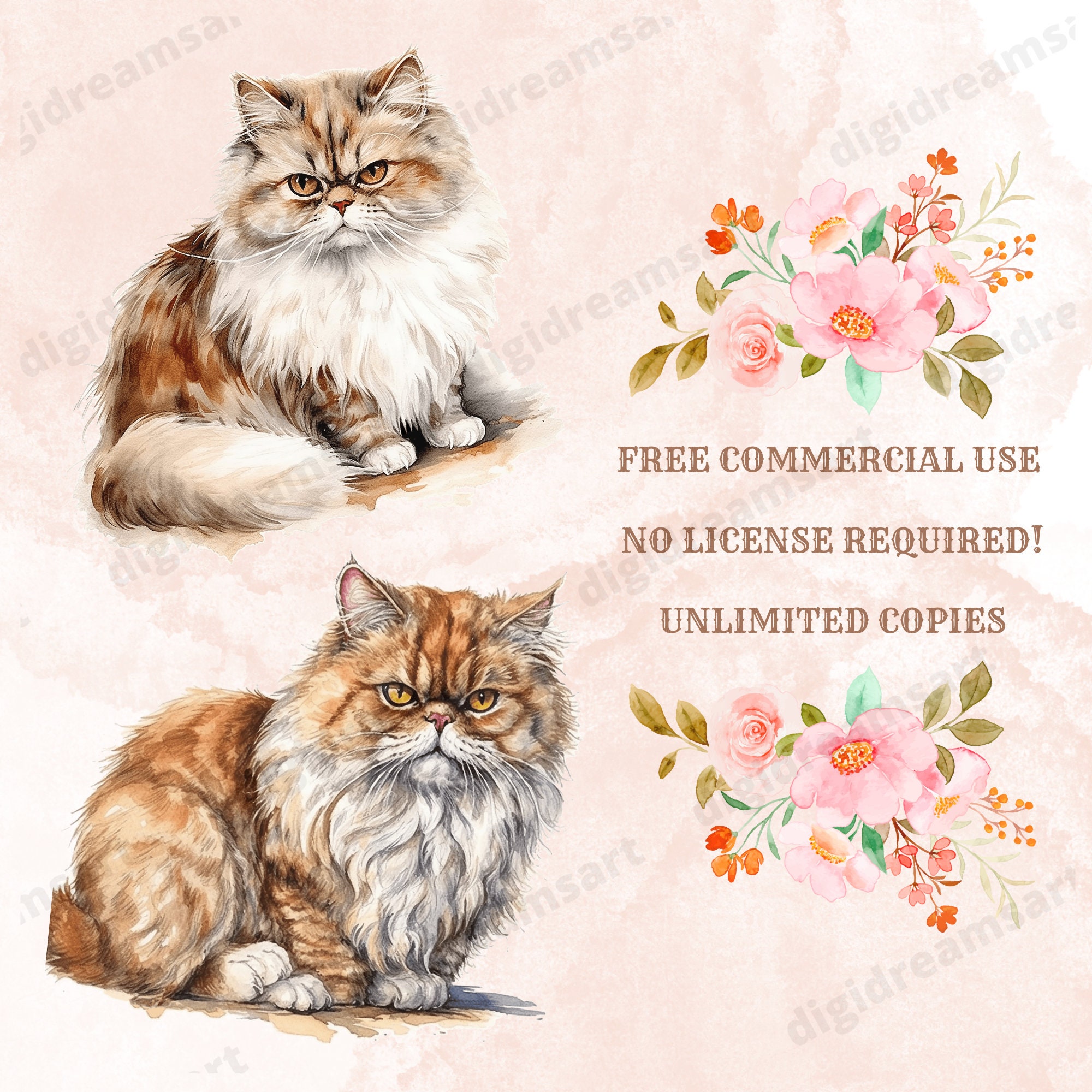 Persian Cat Clipart Bundle Transparent PNG Collection, Watercolor ...