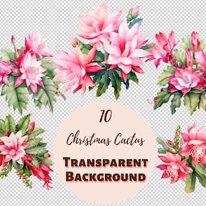 Paquete de diseño de cactus de Navidad - Colección de imágenes prediseñadas transparentes PNG, gráficos de acuarela, arte de pared de guardería, transferencias para camisetas