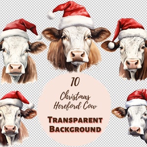 Paquete de diseño de vaca Hereford de Navidad: colección de imágenes prediseñadas transparentes PNG, gráficos de acuarela, arte de pared de guardería, decoración de baby shower y más