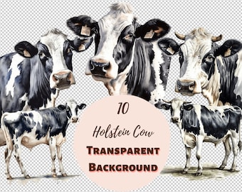 Holstein Cow Clipart Bundle - Transparent PNG Collection, Digital Prints, Clipart, and Transfers for T-Shirts and DIY Projects and more!